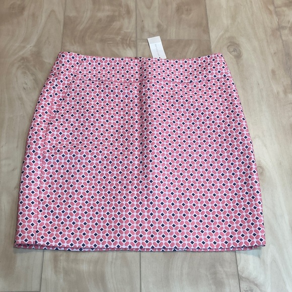 Ann Taylor skirt - Picture 1 of 10